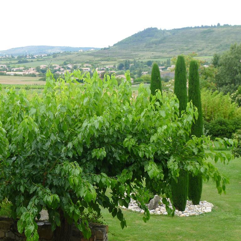 Domaine De La Manse Hotell Villeneuve-de-Berg Eksteriør bilde