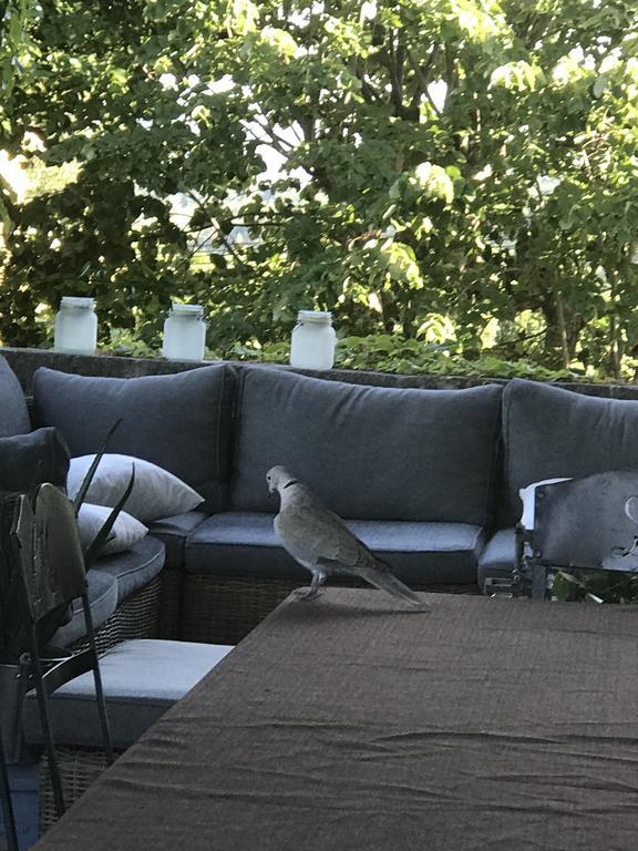 Domaine De La Manse Hotell Villeneuve-de-Berg Eksteriør bilde